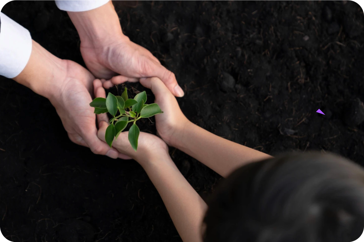 Afforestation, Reforestation & Tree Planting