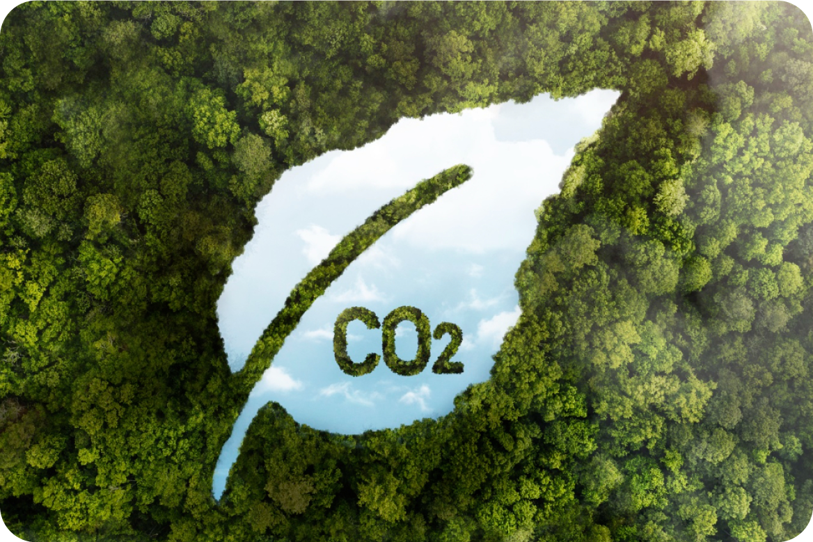 Carbon & Sustainability Services