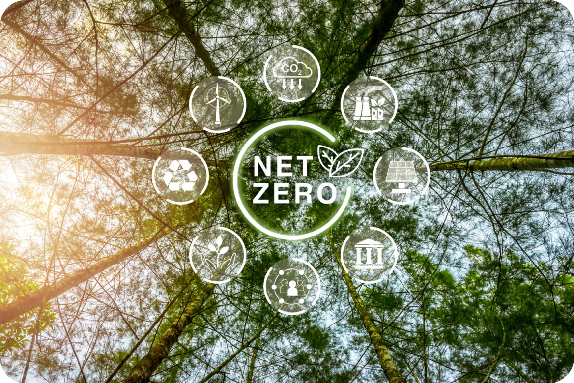 Forest Conservation & Natural Capital Enhancement